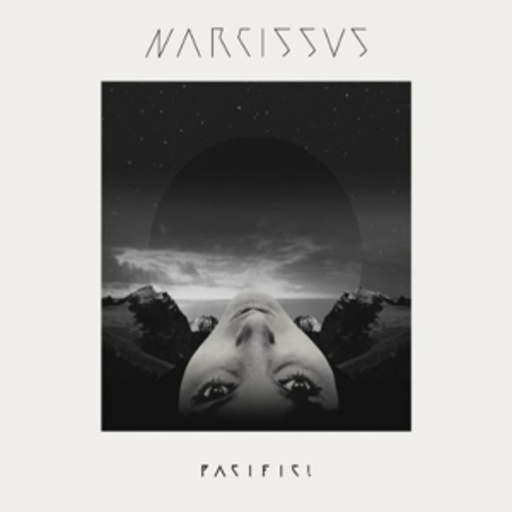 Narcissus