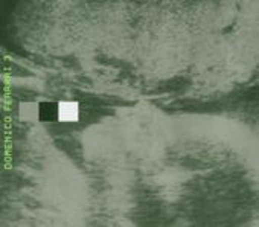 Domenico Ferrari – 3