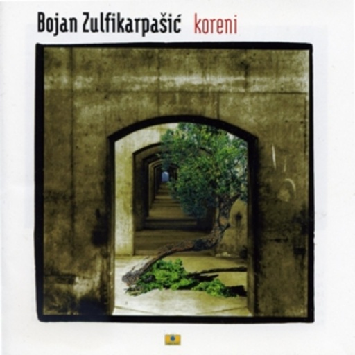 Bojan Zulfikarpašic – Koreni