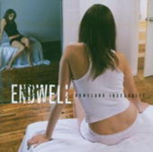 Endwell – Homeland Insecurity