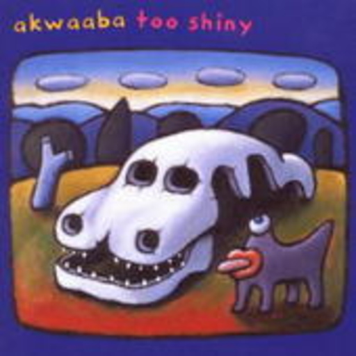 Akwaaba – Too Shiny