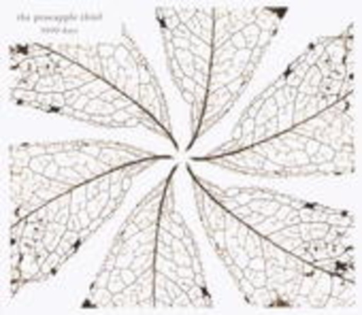 The Pineapple Thief – 3000 Days
