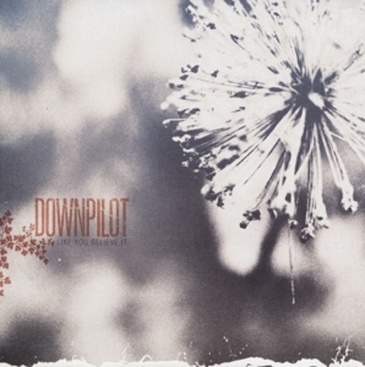 Downpilot – Like You Believe It