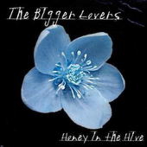 The Bigger Lovers – Honey In The Hive