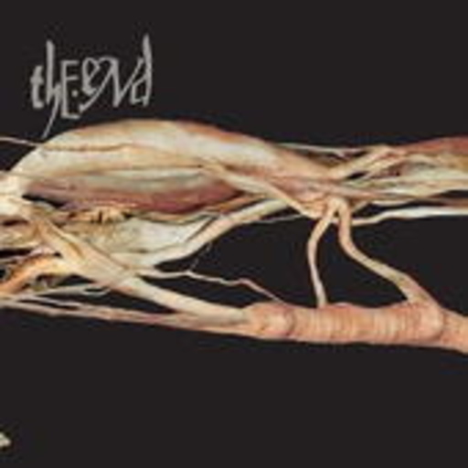 The End – Transfer Trachea Reverberations From Point: False Omniscient