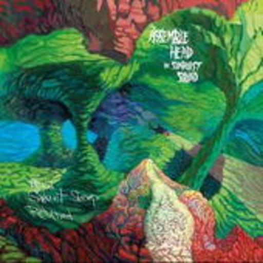Assemble Heads In Sunburst Sound – When Sweet Sleep Returned