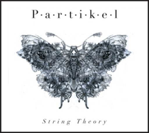 Partikel – String Theory