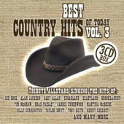 Diverse – Best Country Hits Of Today Vol. 3