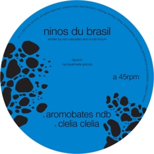 Ninos Du Brasil – Aromobates NDB/Clelia Clelia
