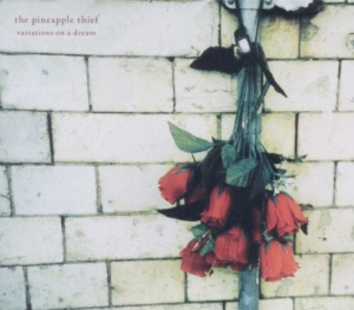 Pineapple Thief – Variations On A Dream