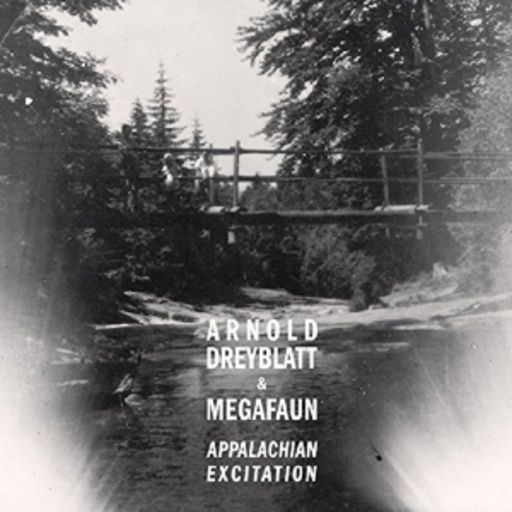 Arnold Dreyblatt & Megafaun – Appalachian Excitation