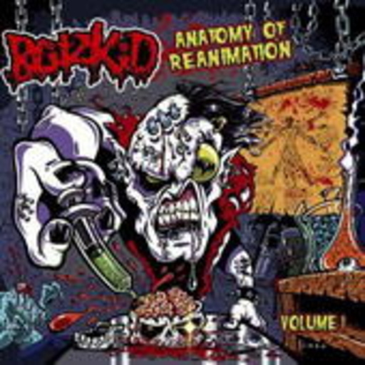 Blitzkid – Anatomy Of Reanimation