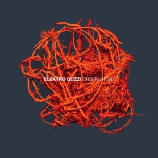 Elektro Guzzi – Observatory