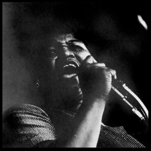 Big Mama – The Queen At Monterey