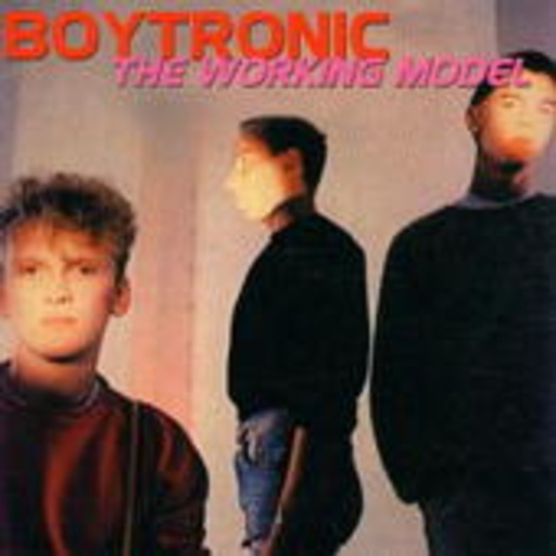Boytronic – The Working Model