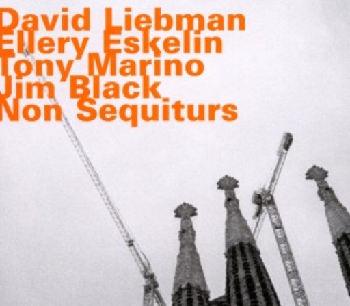 David Liebman/Ellery Eskelin – Non Sequiturs