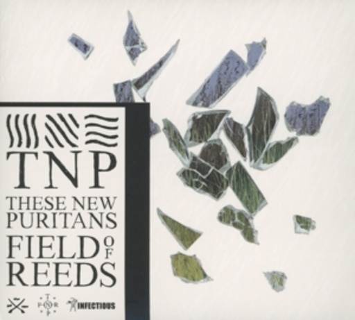These New Puritans – Field Of Reeds