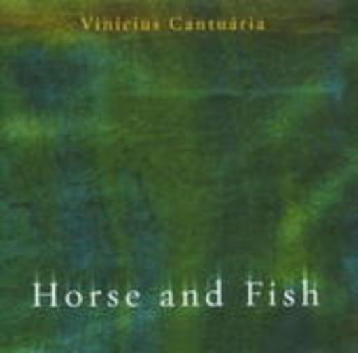 Vinicius Cantuaria – Horse And Fish