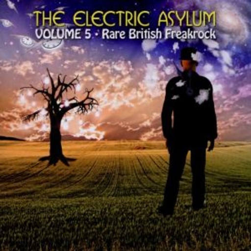 Diverse – The Electric Asylum Vol. 5 - Rare British Freakrock