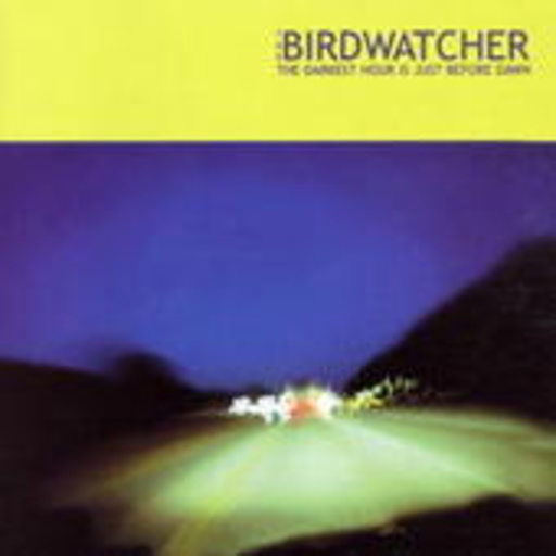 The Birdwatcher – The Darkest Hour Is Just Before Dawn
