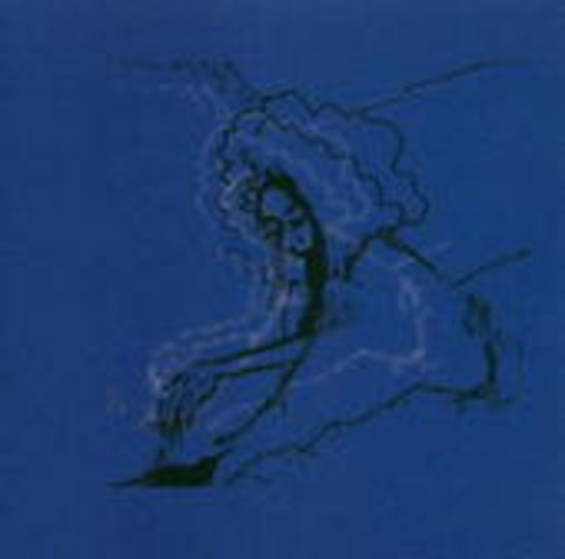 Polar Bear – Dim Lit