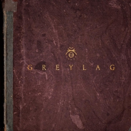 Greylag – Greylag