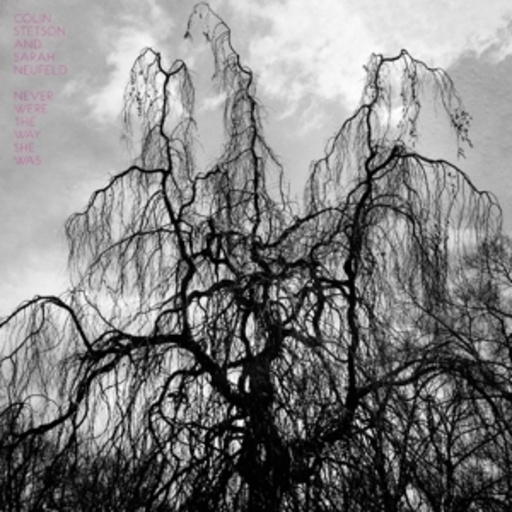 Colin Stetson & Sarah Neufeld – Never Were The Way She Was