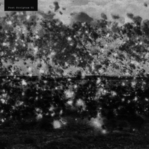 Post Scriptum – Post Scriptum 01