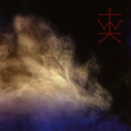 Wonded Kings – Consolamentum