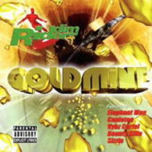 Diverse – Riddim Rider Vol. 10 - Goldmine
