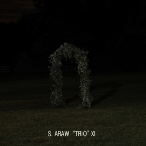 S. Araw Trio XI – Gazebo Effect