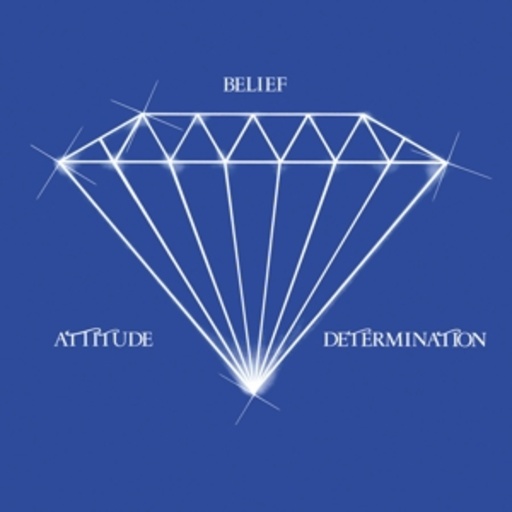 Martin L. Dumas Jr. – Attitude Belief Determination