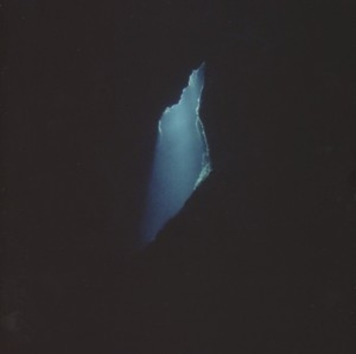 Balam Acab – Wander/Wonder