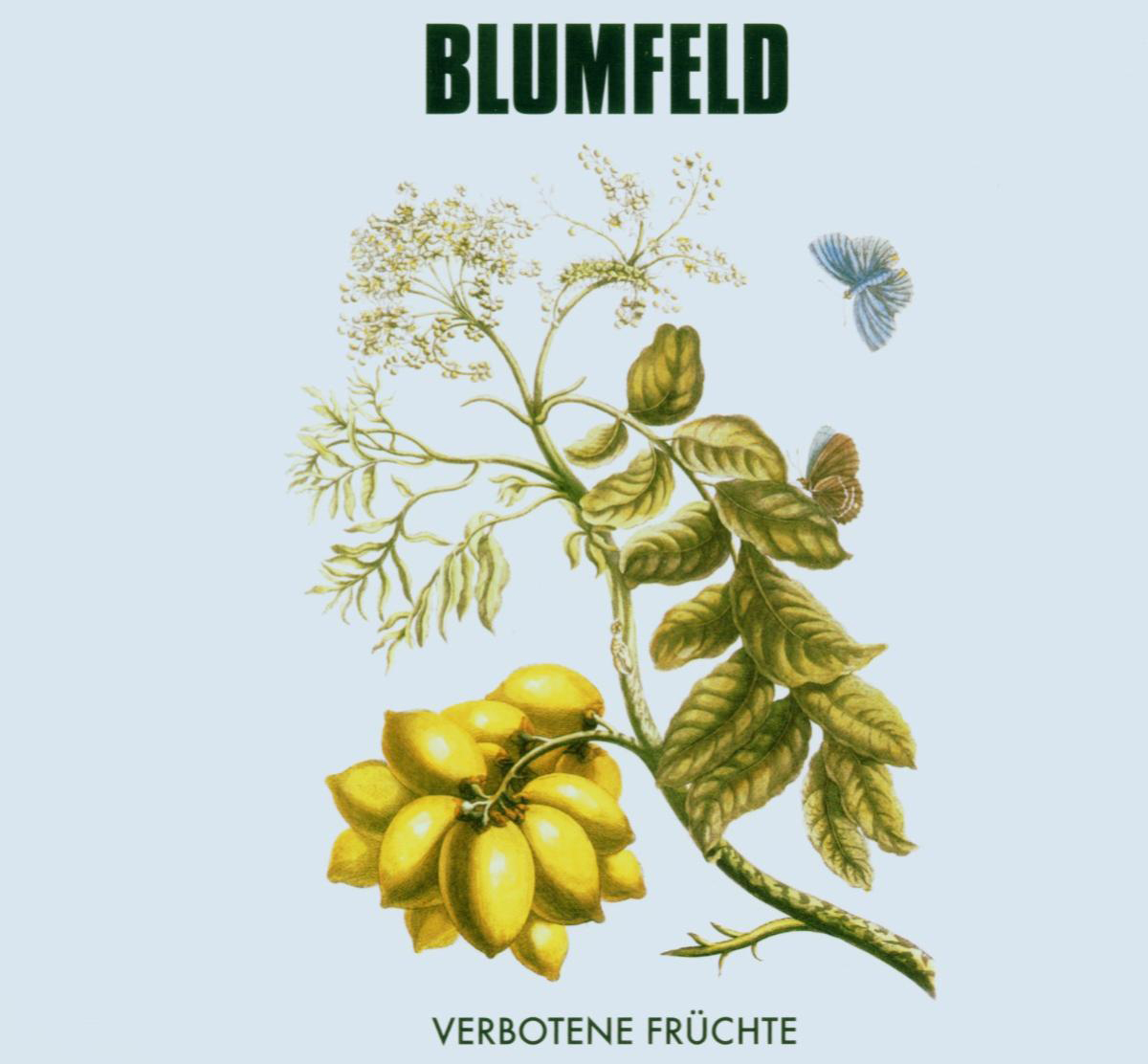 Blumfeld – Verbotene Früchte