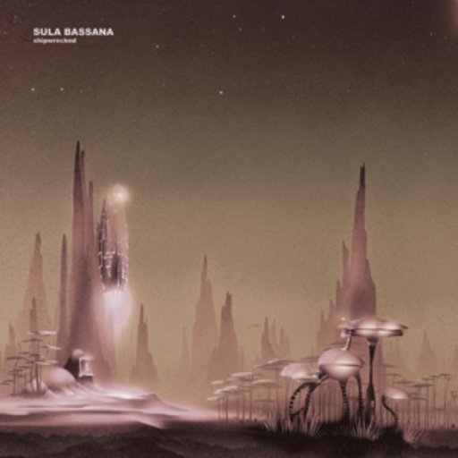 Sula Bassana – Shipwrecked