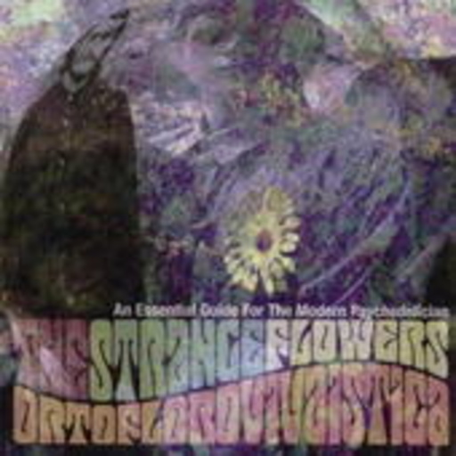 The Strange Flowers – Ortoflorovivaistica