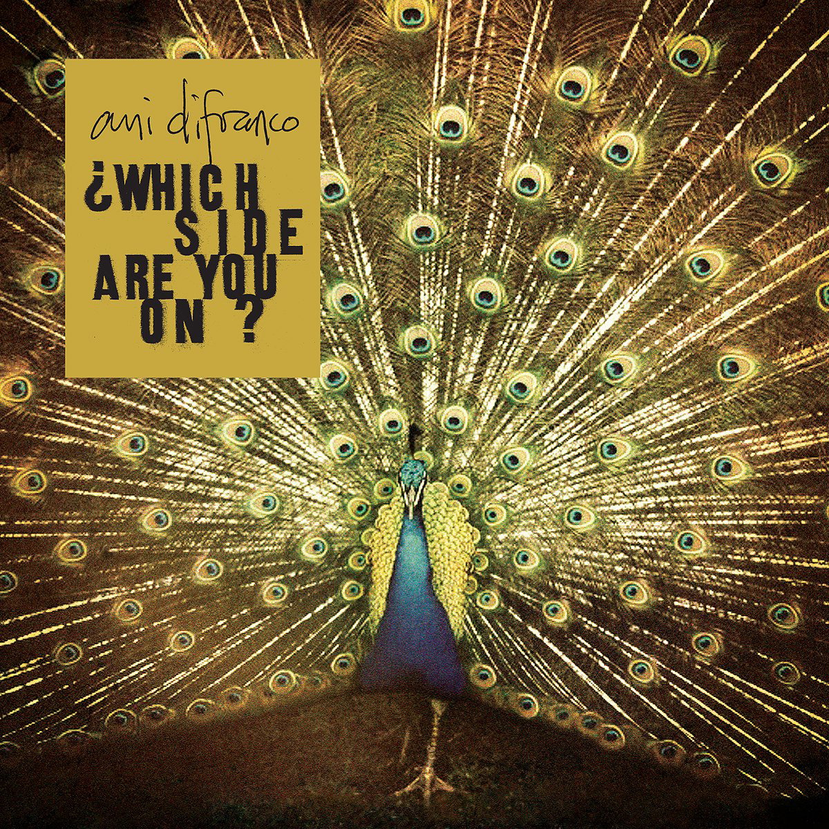 Ani DiFranco – Which Side Are You On?