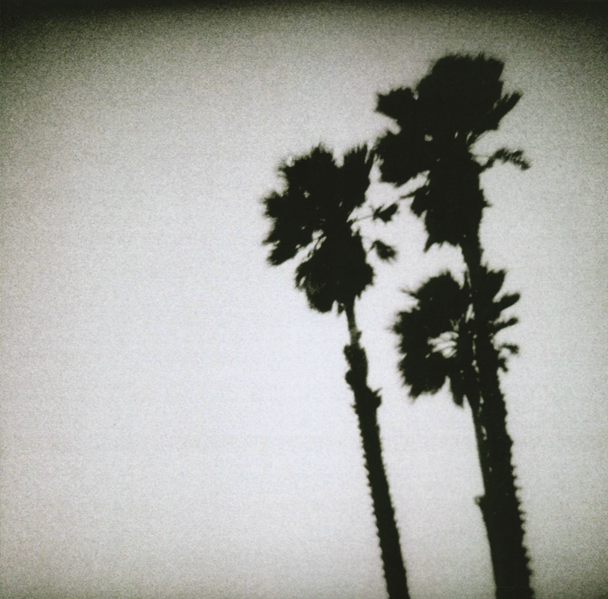 The Twilight Singers – Blackberry Belle