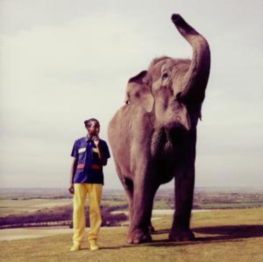 Jammer – Jahmanji