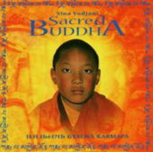Sina Vodjani – Sacred Buddha