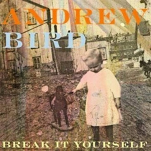 Andrew Bird – Break It Yourself