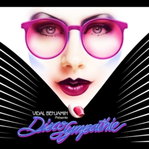 Diverse – Disco Sympathie