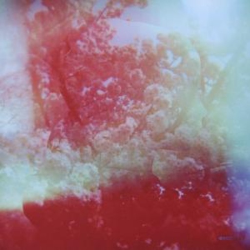 Walls – Walls