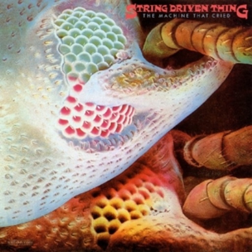 String Driven Thing – The Machine That Cried