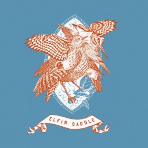 Elfin Saddle – Devastates