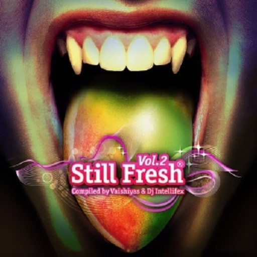 Still Fresh Vol. 2