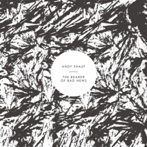 Andy Shauf – The Bearer Of Bad News