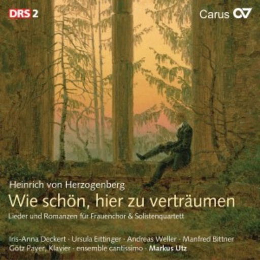 Diverse – Wie schön, hier zu verträumen