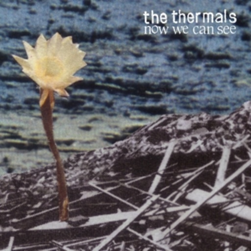 The Thermals – Now We Can See