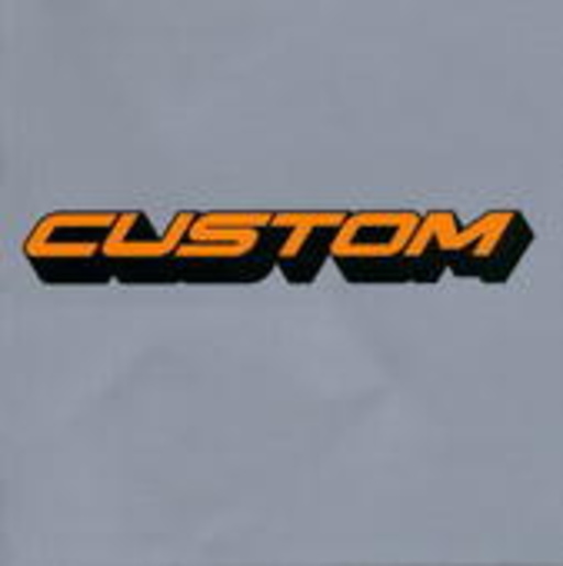 Custom – Fast - Parental Advisory